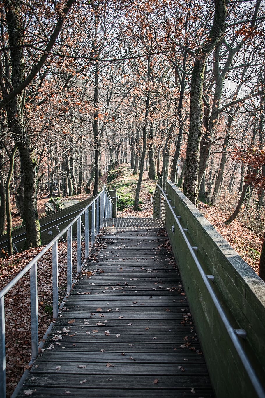 footbridge, path, nature, landscape, pavement, trail, trees HD wallpaper
