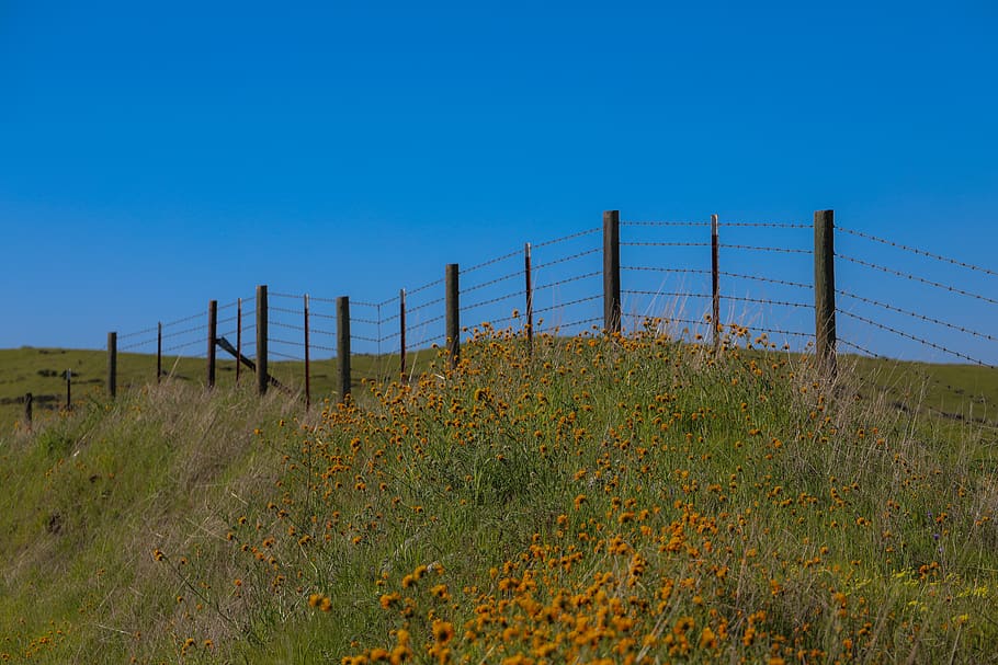 brown wooden and barded wire fence, nature, outdoors, field, grassland, HD wallpaper