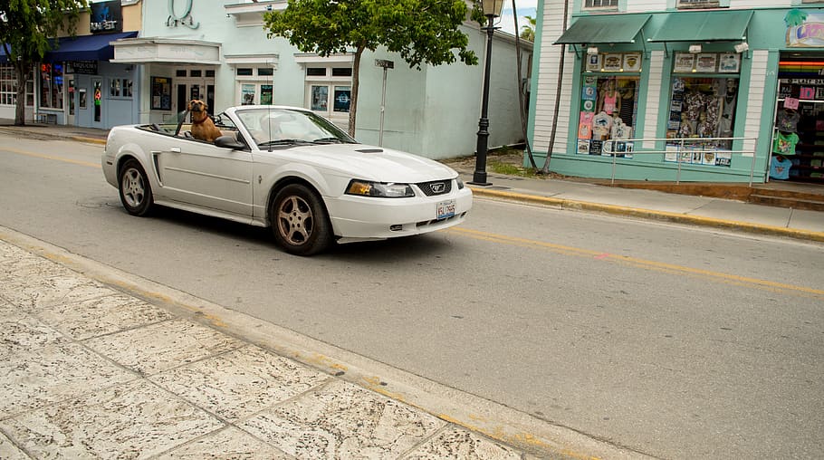 key west, united states, driver, travel, snapshot, caught on camera, HD wallpaper