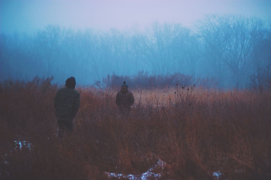 dark, fog, winter, cold, snow, coats, jackets, people, woods HD wallpaper