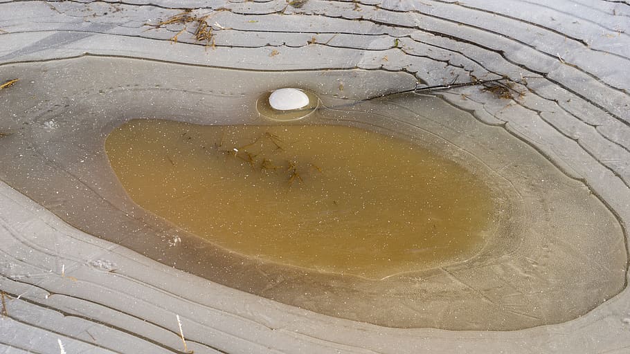 puddle, winter, ice, texture, pattern, no people, high angle view HD wallpaper