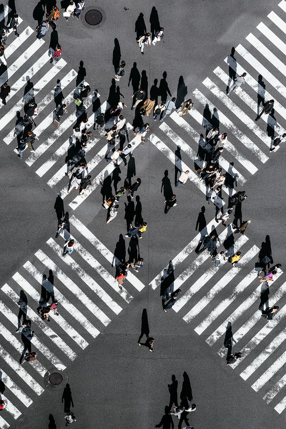 aerial view of people walking on cross pedestrian lane, asphalt