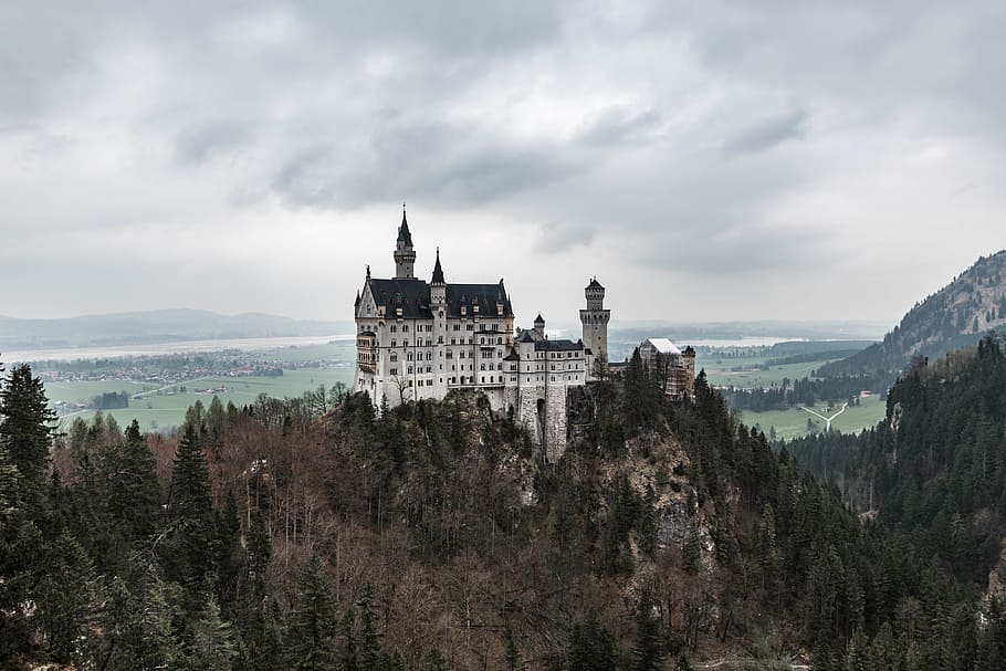 grey concrete castle, building, mountain, cliff, forest, woodland HD wallpaper