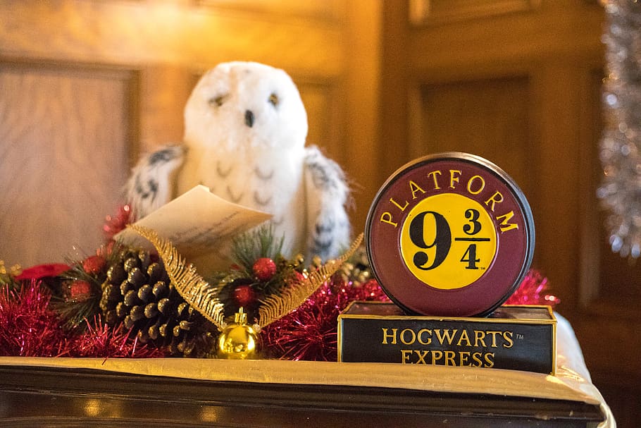 Hogwarts Express figurine, plant, home decor, animal, bird, teddy bear HD wallpaper