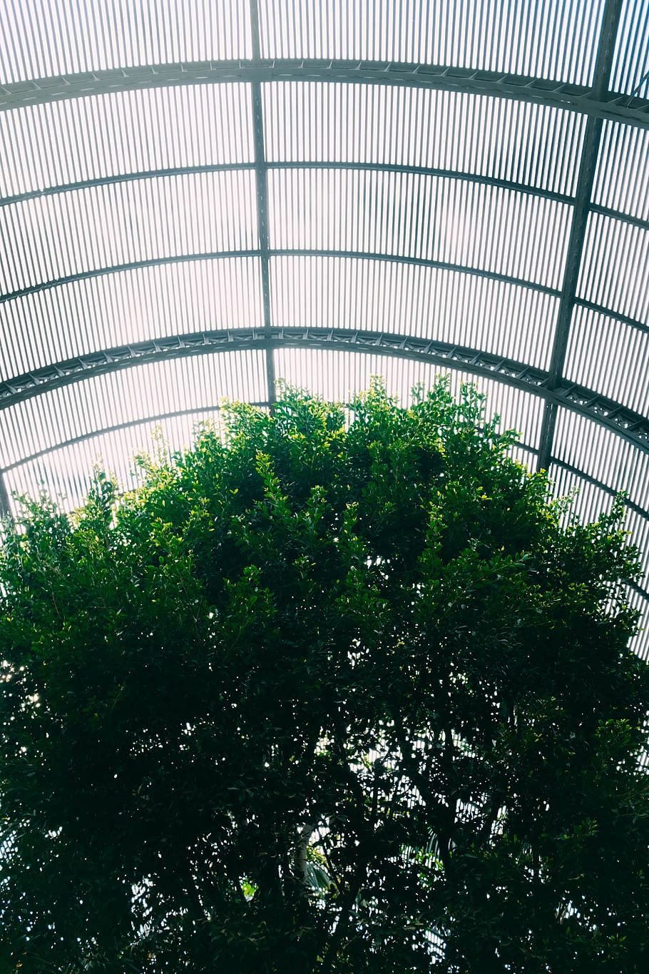 window, outdoors, architecture, building, skylight, garden HD wallpaper