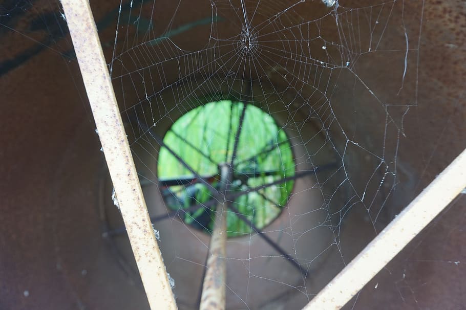 web, spider, silk, bug, old, rust, rusty, machine, machinery HD wallpaper