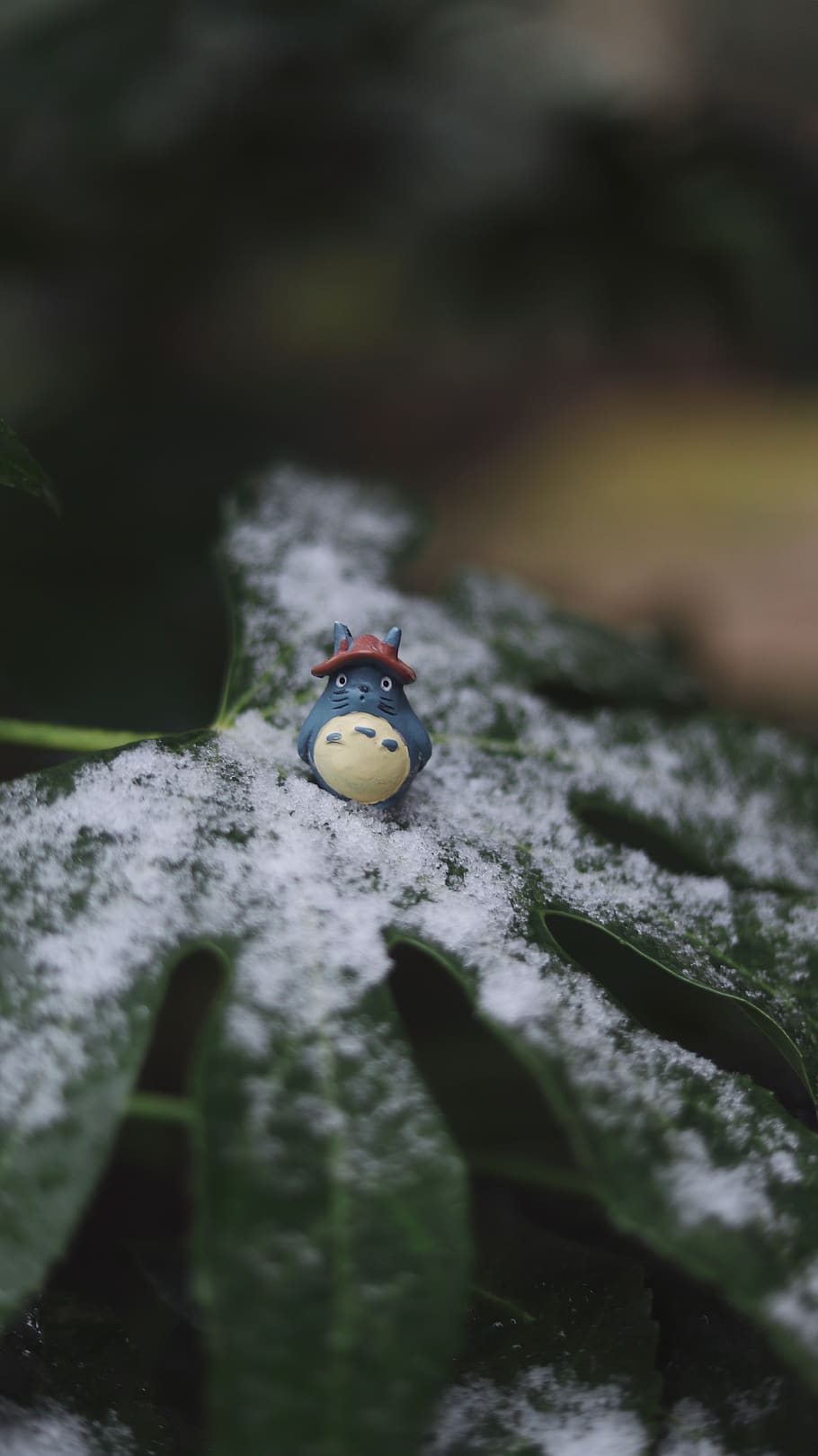totoro, snow, winter, animal themes, insect, selective focus HD wallpaper