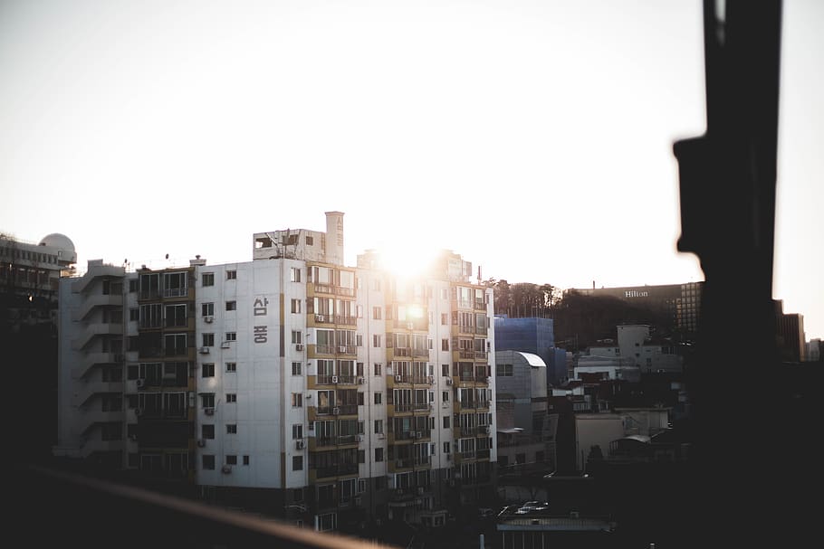 white buildings under white sky, city, urban, high rise, town HD wallpaper