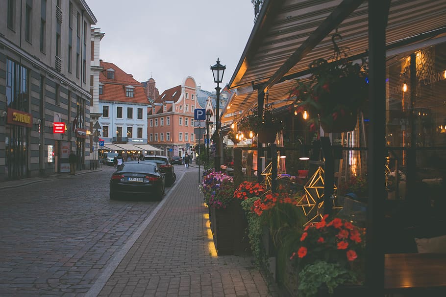 latvia, riga, architecture, building exterior, city, built structure HD wallpaper