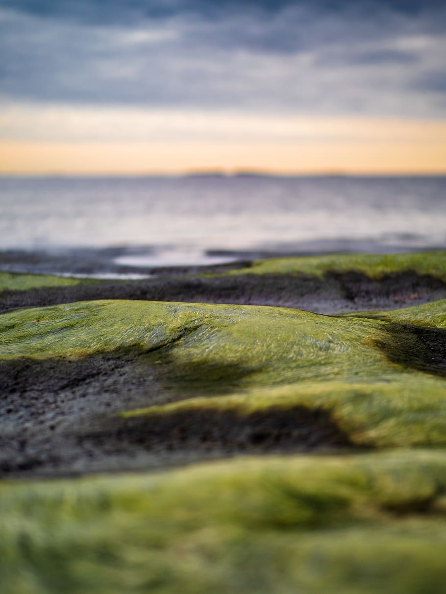 green grass under gray sky, beauty in nature, scenics - nature HD wallpaper