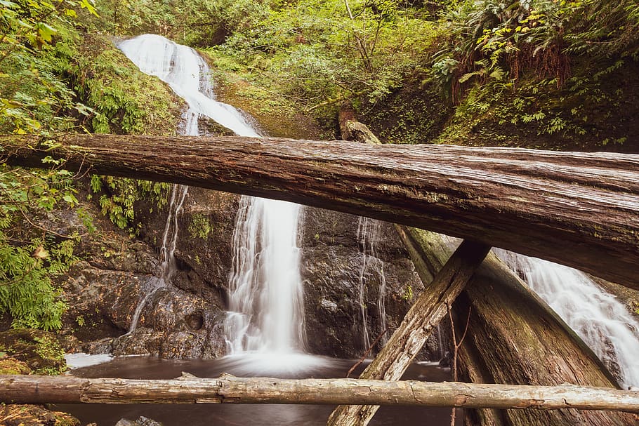 creek, forest, logs, rainforest, water, waterfall, tree, long exposure, HD wallpaper