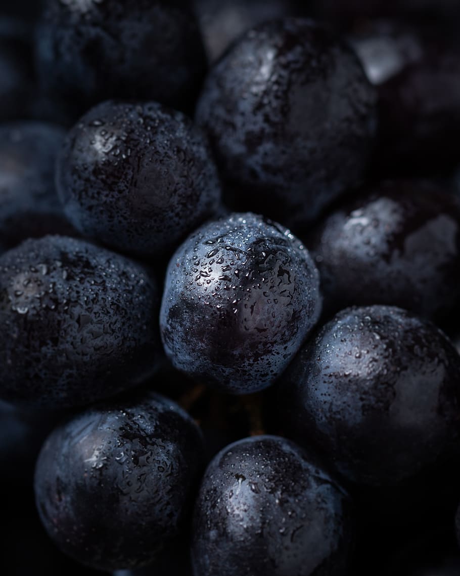 wet blueberries, food, food and drink, healthy eating, wellbeing HD wallpaper
