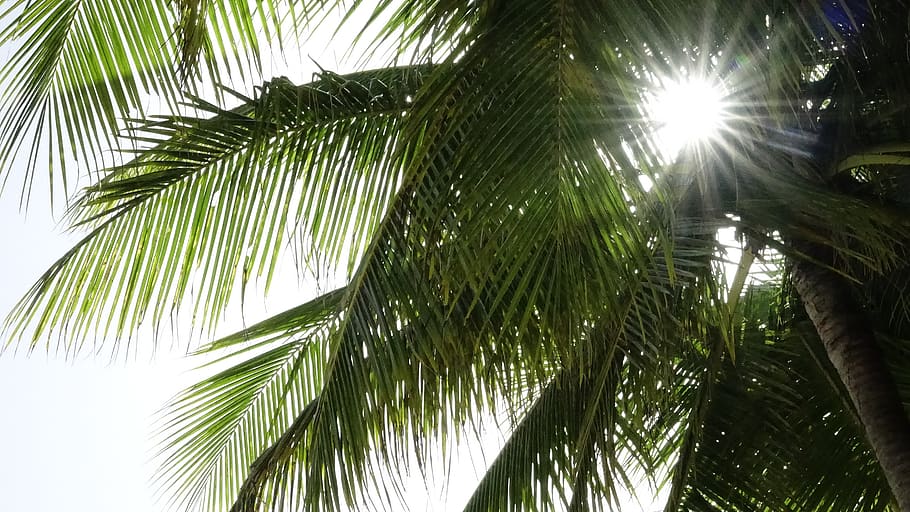 solar, beach, mobile, sea, summer, nature, holiday, sky, travel HD wallpaper