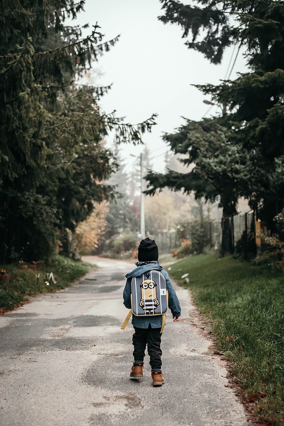 child carrying backpack while standing near green trees and plants HD wallpaper