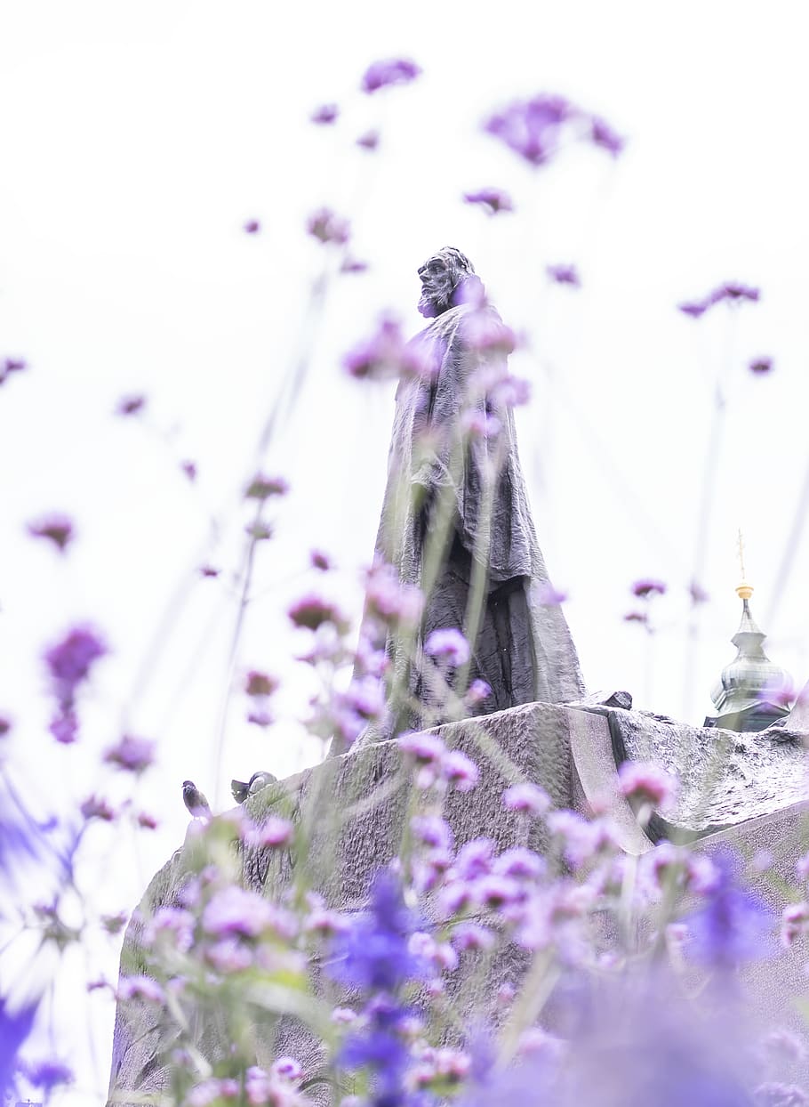 Statue And Purple Flowers, bloom, blossom, flora, flowering plant HD wallpaper