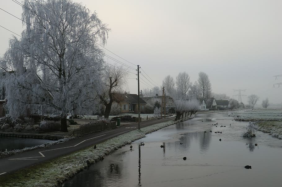 winter landscape, polder, cold, frozen, trees, fog, ice, ditch HD wallpaper