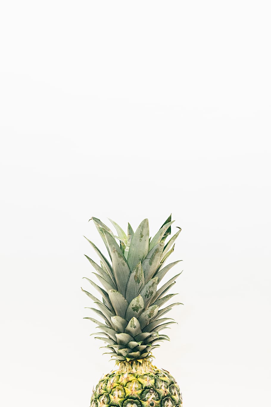 pineapple, dessert, appetizer, fruit, juice, food, juicy, studio shot HD wallpaper