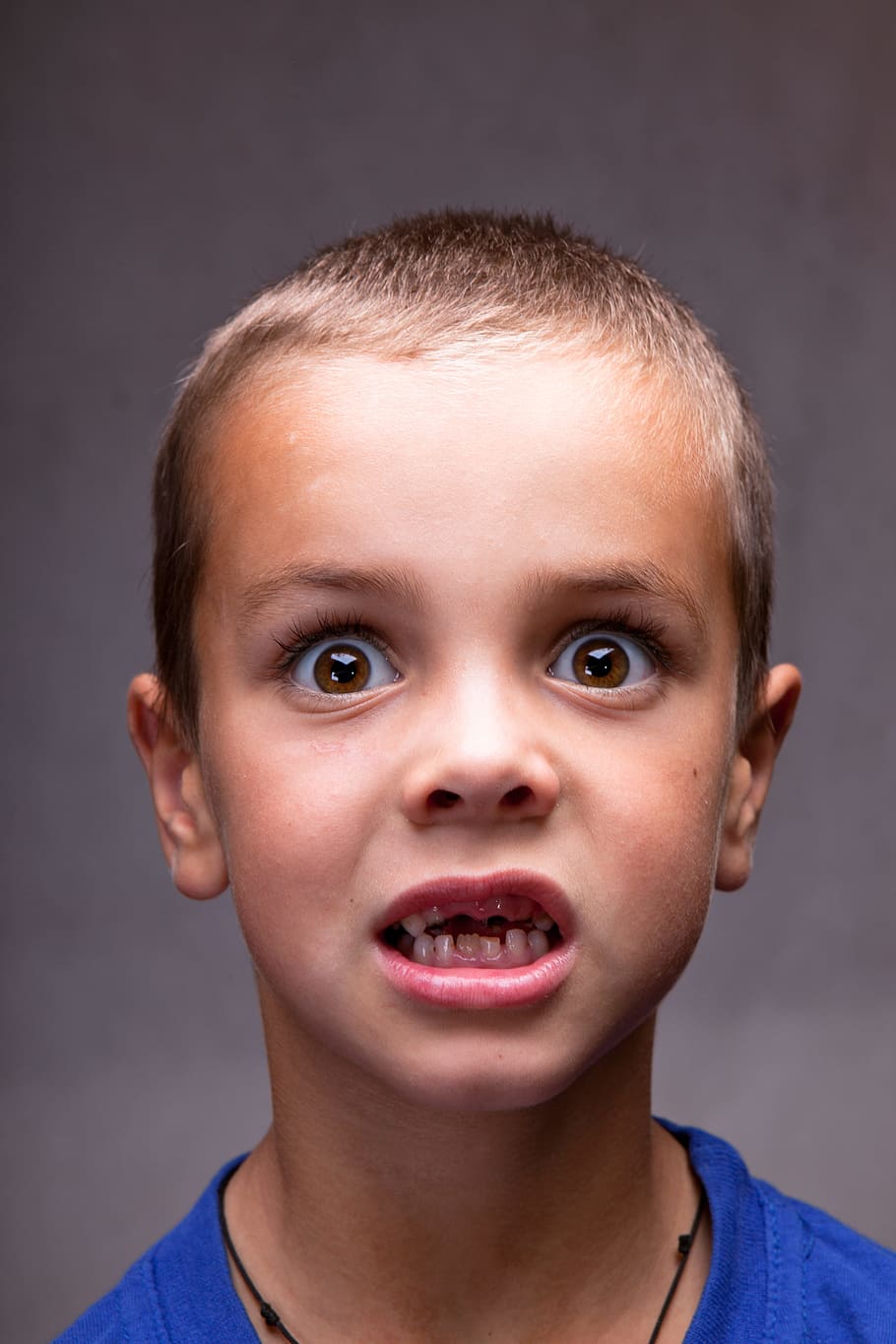 boy, child, young, head, searious, male, portrait, headshot HD wallpaper