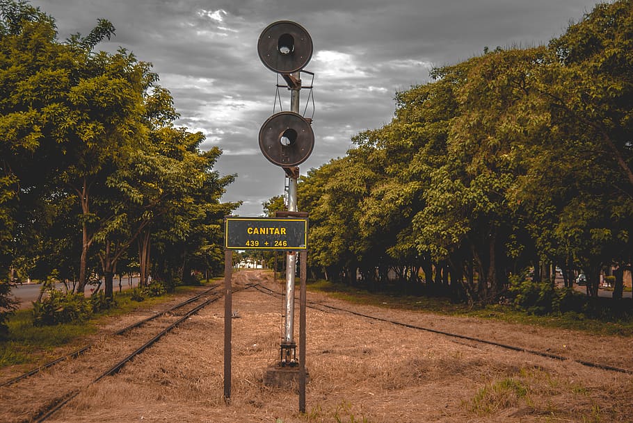 canitar, brazil, train, lineoftrain, railroad, trem, forest HD wallpaper