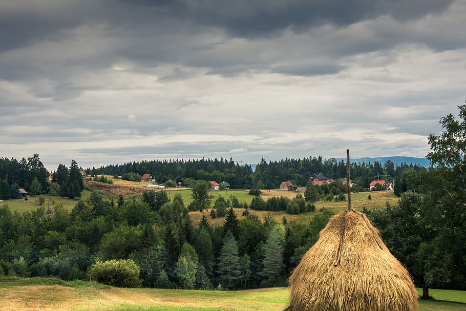 serbia, mala reka, kaludjerske bare, pines, mountain, heystack, HD wallpaper