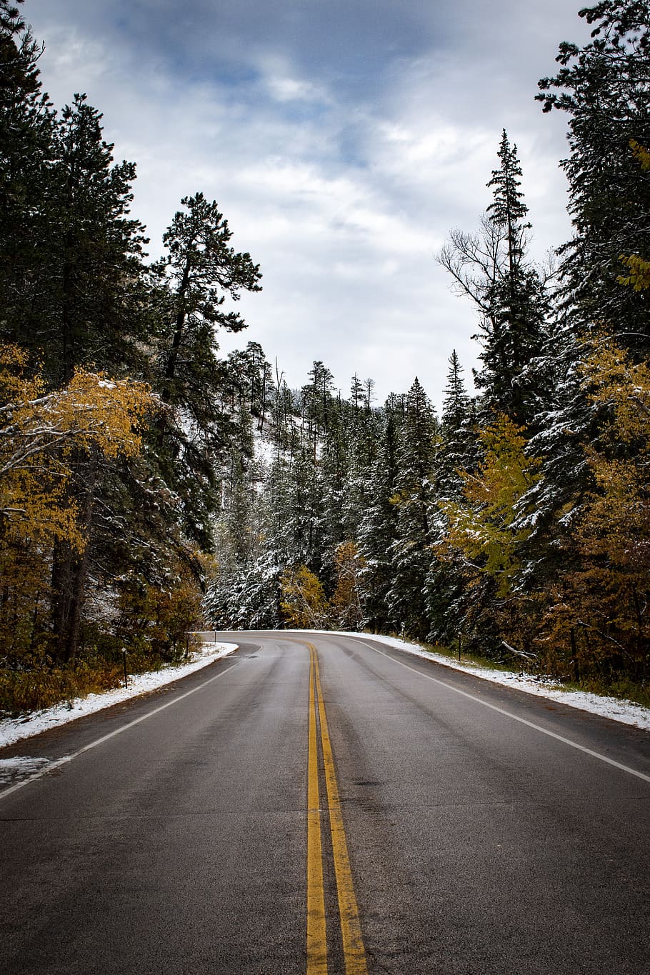 empty road between trees, snow, winter, cold, cloud, outdoors, HD wallpaper