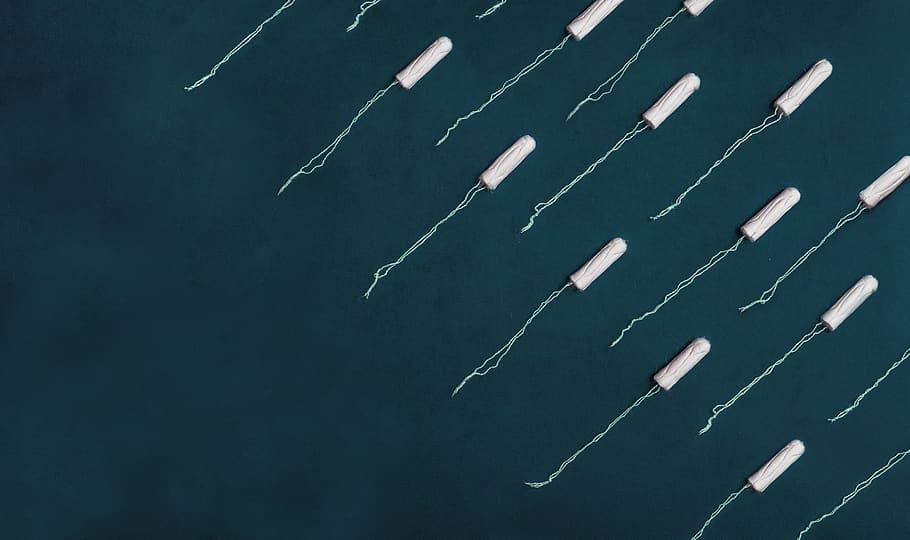 white strings on blue surface, blackboard, no people, black color HD wallpaper