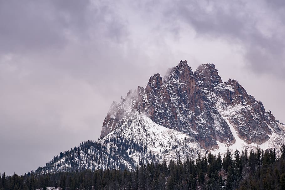 Rocky Mountain , cold, forest, landscape, nature, scenic, snow HD wallpaper