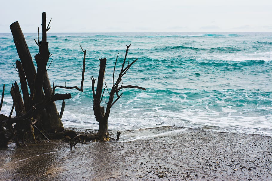 wafe, the blue, the deed, deep, ocean, sea, water, beach, beauty in nature HD wallpaper