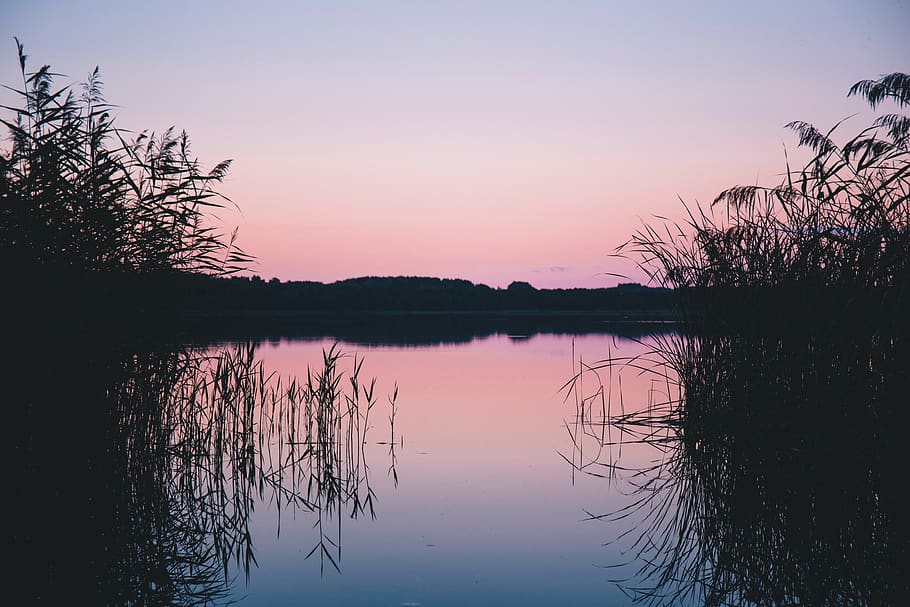 lake, water, reflection, grass, plant, nature, mountain, sky HD wallpaper