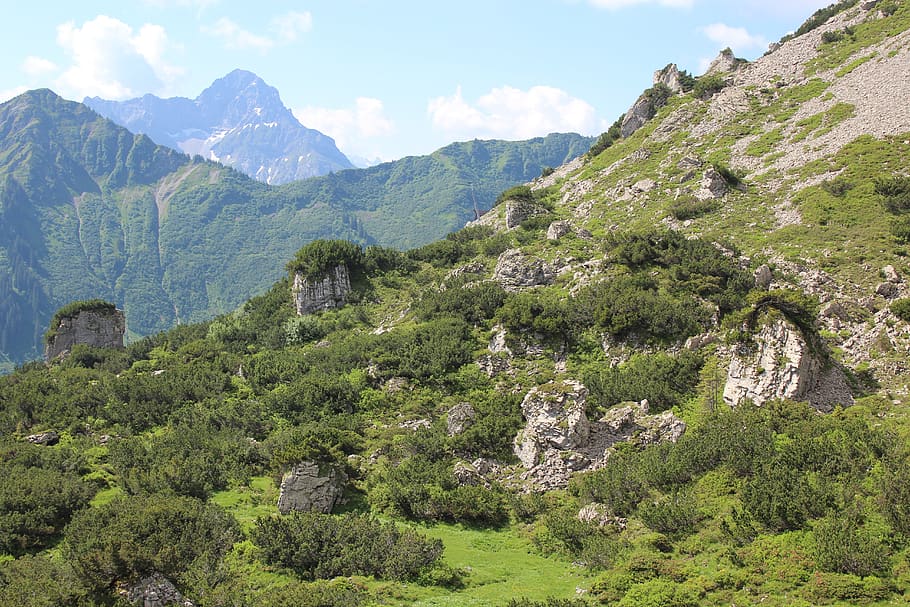 landscape, trees, high mountains, green, alpine, austria, vacations HD wallpaper