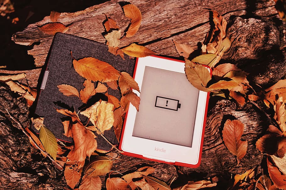 white Amazon Kindle e-book reader, leaf, plant part, nature, autumn HD wallpaper