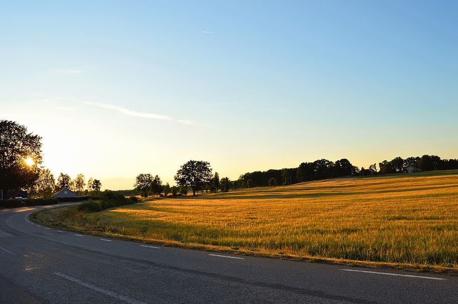Green Grass Field Beside Asphalt Road, cropland, dawn, environment HD wallpaper