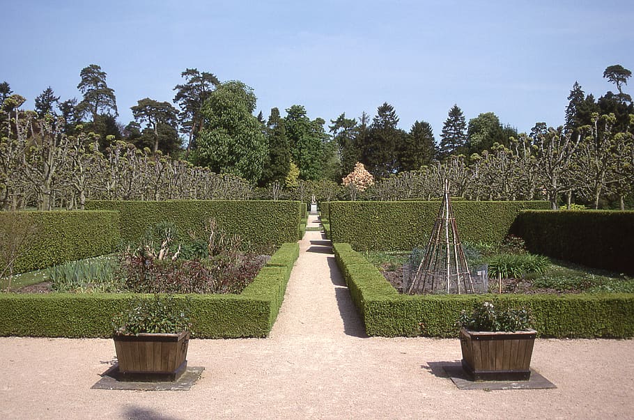 sandringham, united kingdom, garden, england, east anglia, plant, HD wallpaper