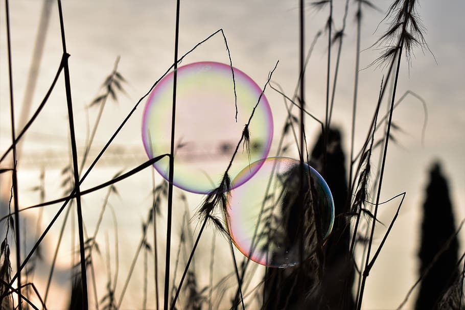 soap bubble, backlighting, mood, shimmer, rainbow colors, sunrise HD wallpaper