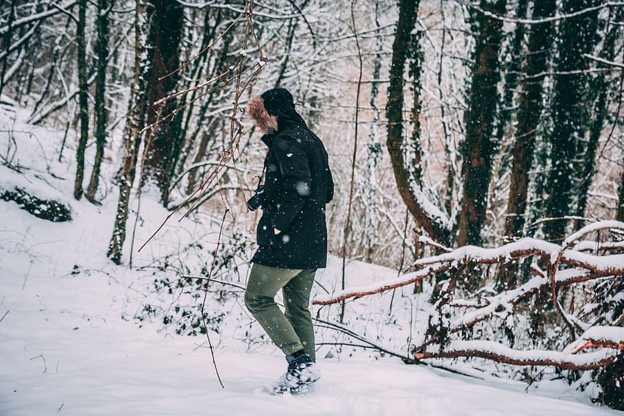 Photo of a Person in the Snowy Forest, branches, cold, environment, HD wallpaper