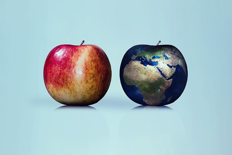 apple, earth, globe, comparison, nature, renewable, forward