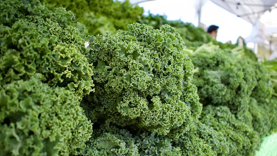 kale, food, vegetable, cabbage, plant, human, person, green, HD wallpaper