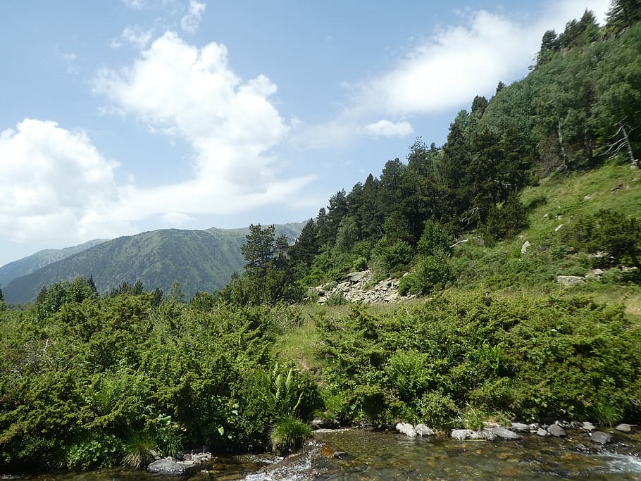 river, trees, mountain, andorra, plant, sky, beauty in nature HD wallpaper