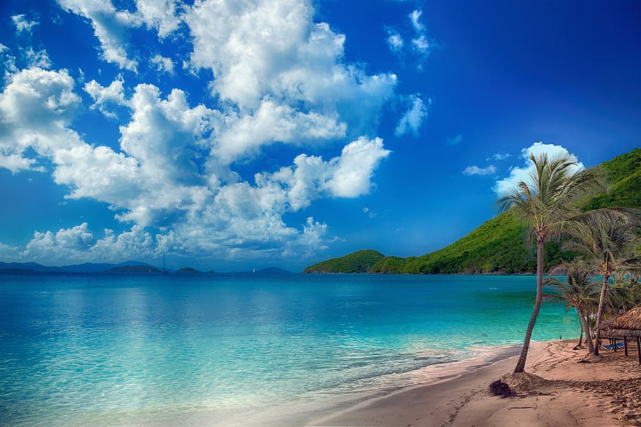 beach, tropical, palms, sky, clouds, sand, holiday, exotic HD wallpaper