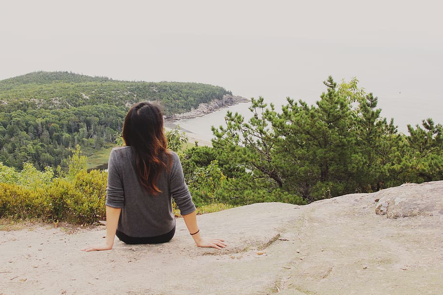 united states, bar harbor, beehive trail, trees, hike, park