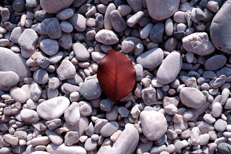 turkey, fethiye, beach, leaf, sea, nature, stones, solid, stone - object HD wallpaper
