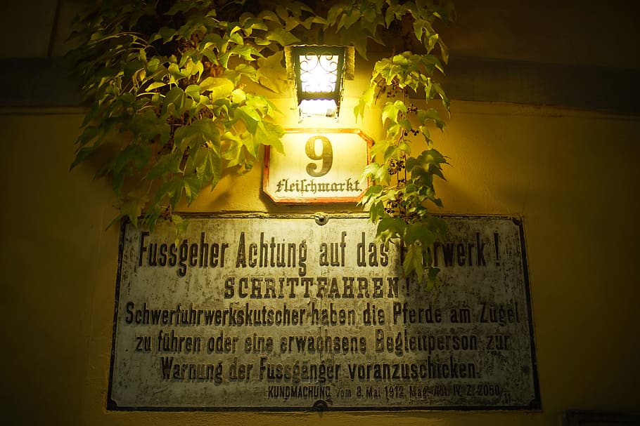 vienna, austria, fleischmarkt, light, night, ivy, lap, sign HD wallpaper