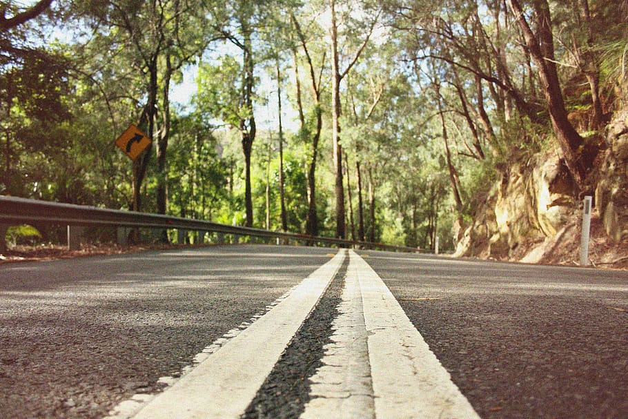 road, forest, trees, nature, symbol, transportation, sign, road marking HD wallpaper