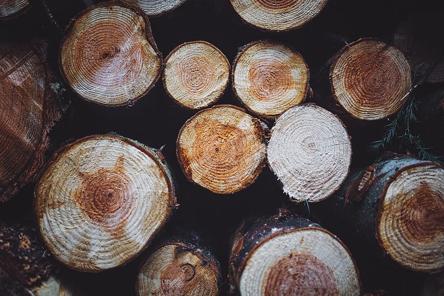 brown tree log lot, large group of objects, stack, timber, lumber industry HD wallpaper