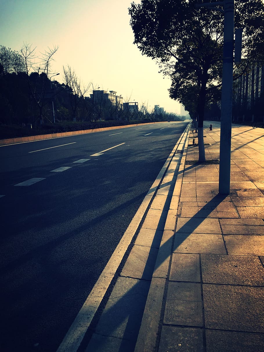 china, changsha, tree, road, transportation, plant, no people HD wallpaper