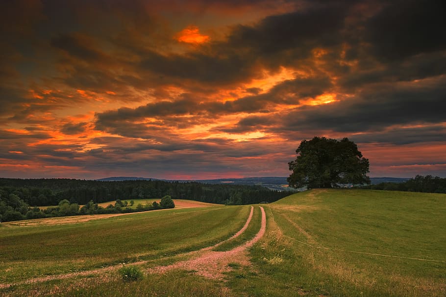 Aerial Photography of Green Fields, clouds, cloudy, dawn, forest HD wallpaper