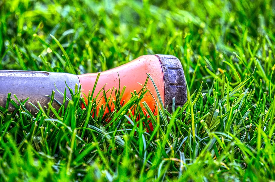 shower, irrigation, casting, garden, nature, gardening, grass HD wallpaper