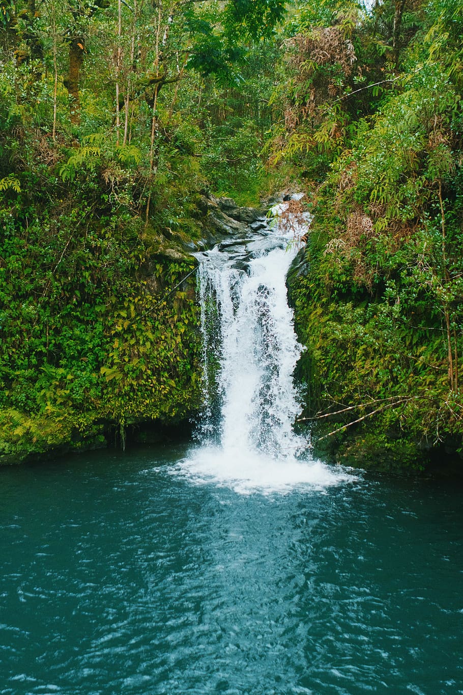 tropical, hawaii, waterfall, motion, beauty in nature, forest