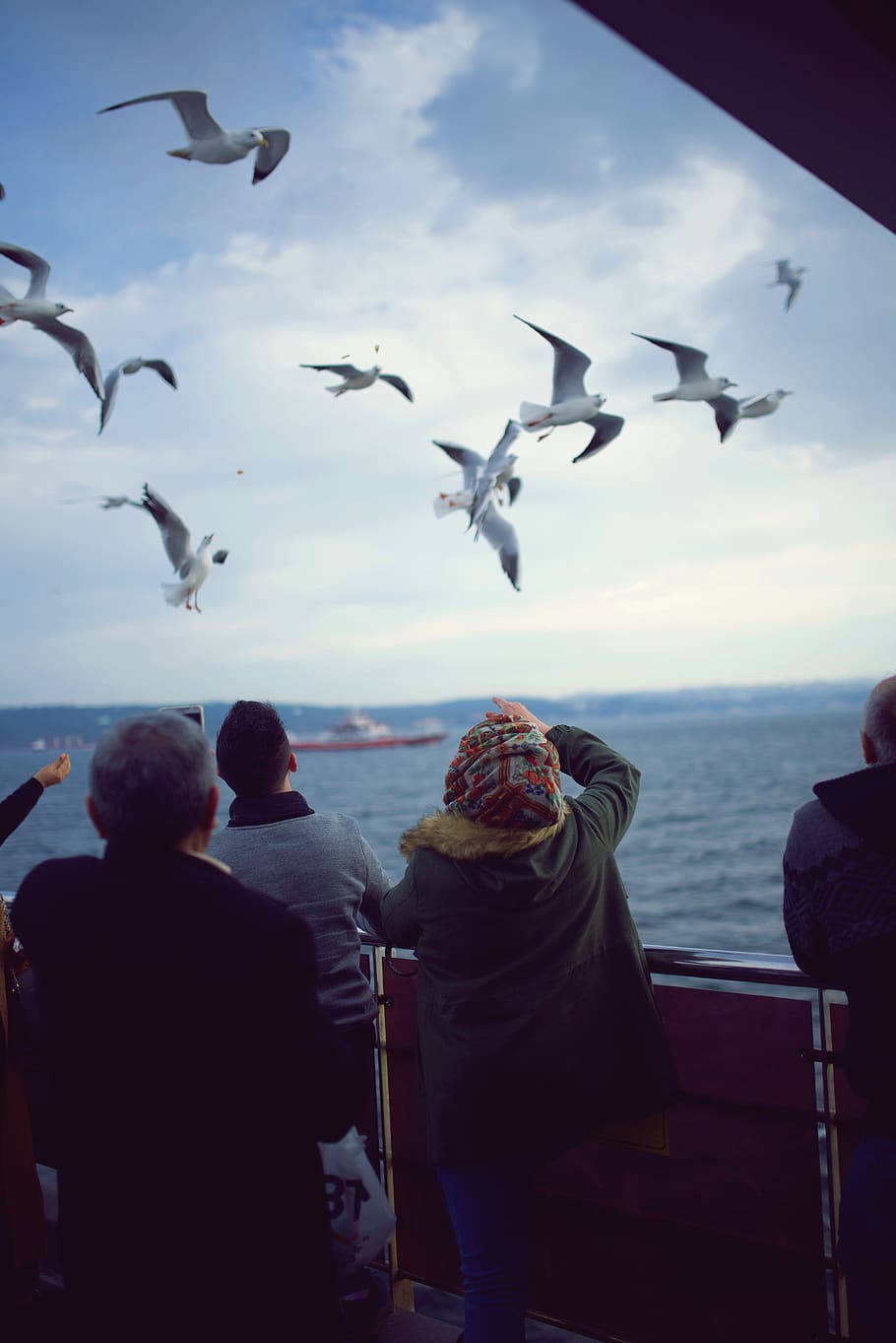 Flying Seagulls over Body of Water, boats, clouds, daylight, feeding HD wallpaper