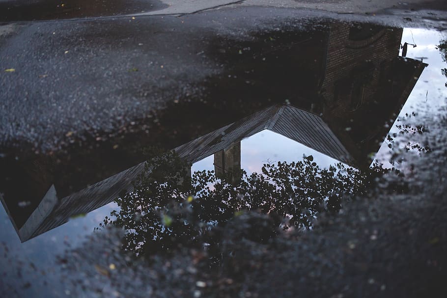tree, plant, house, sky, street, water, reflection, architecture HD wallpaper